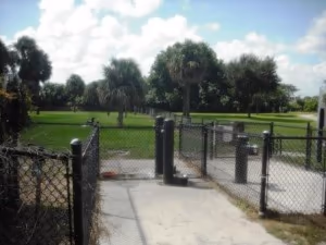 Dog Park at Dreher Park photo 2
